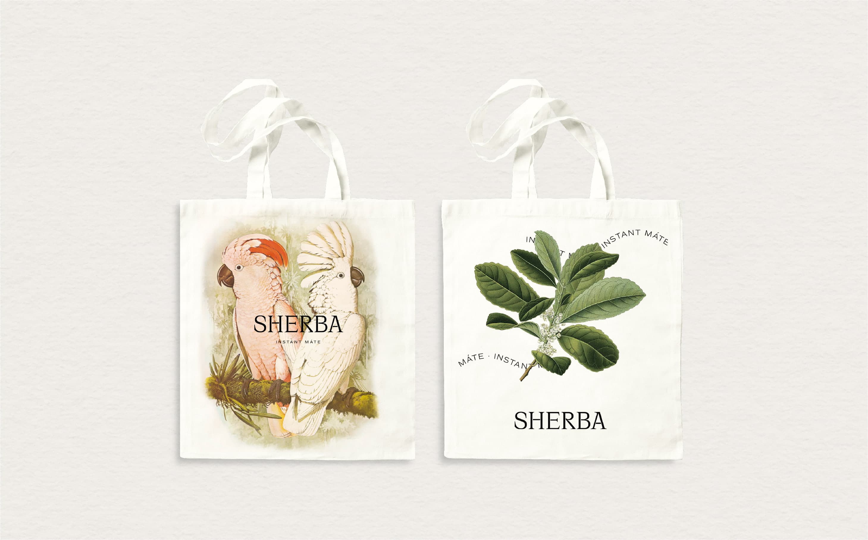 NUAR_Web_Proyecto_Sherba_C_19.jpg