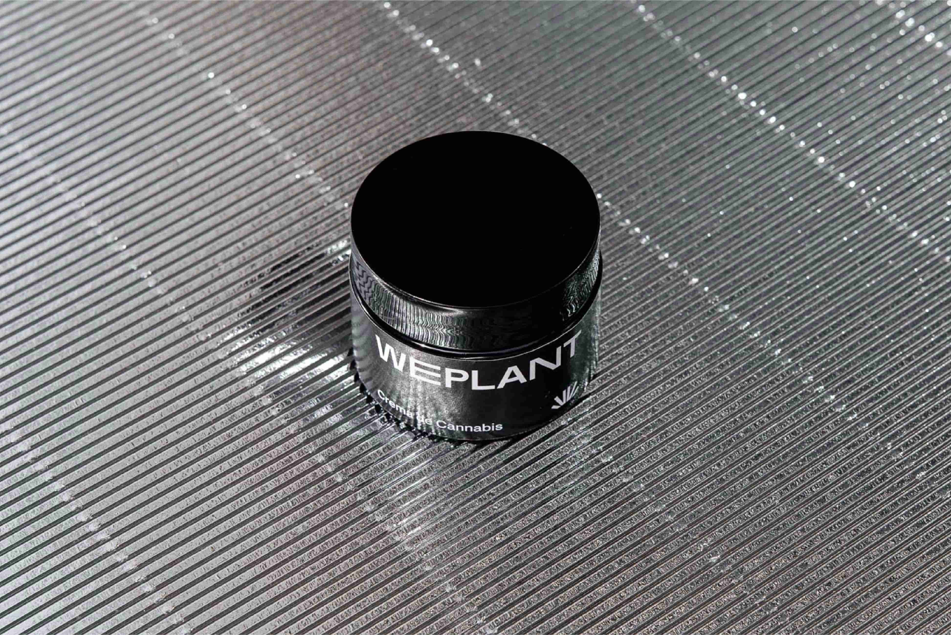 NUAR_Web_Proyecto_WePlant_C_18.jpg