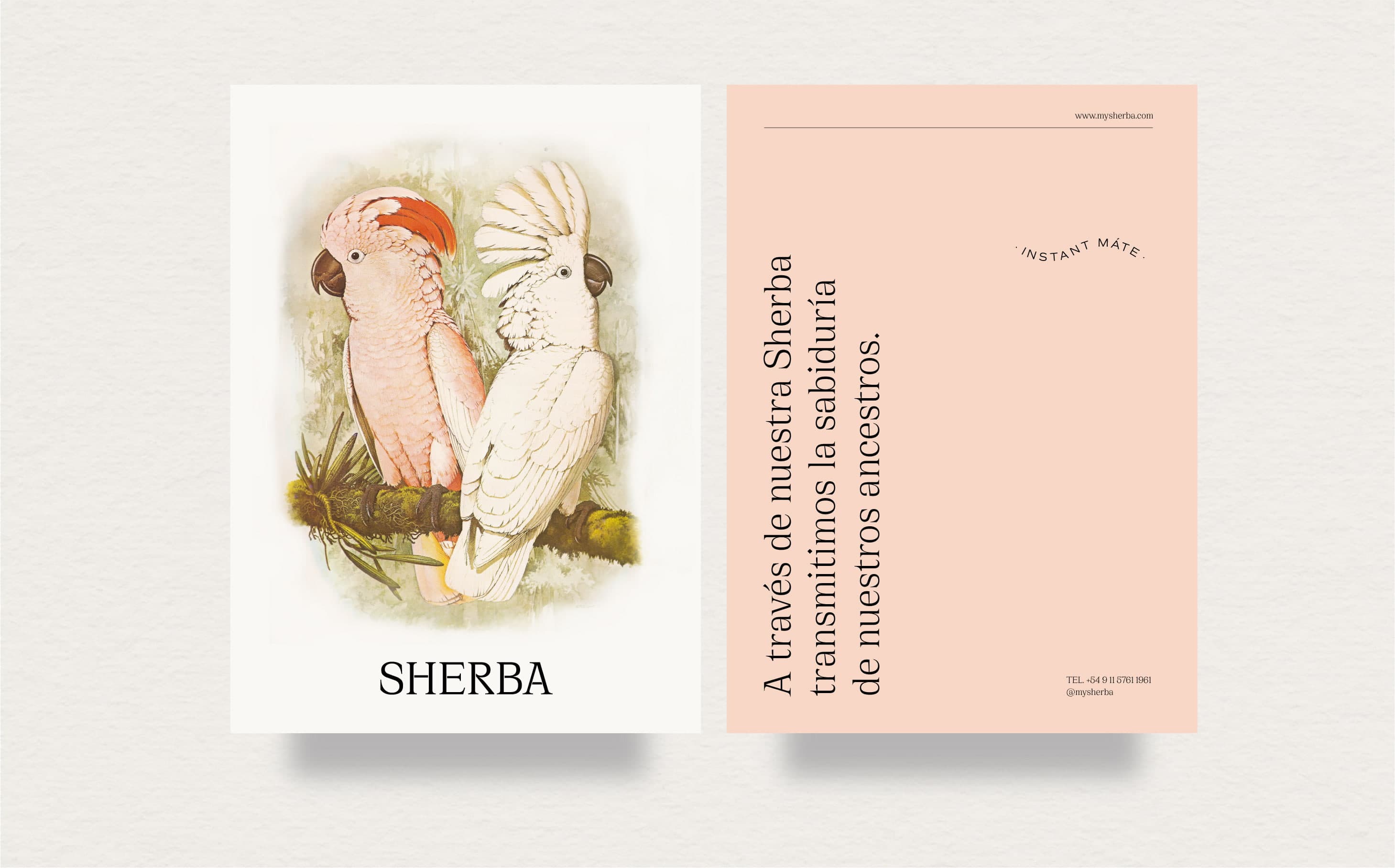 NUAR_Web_Proyecto_Sherba_C_12.jpg