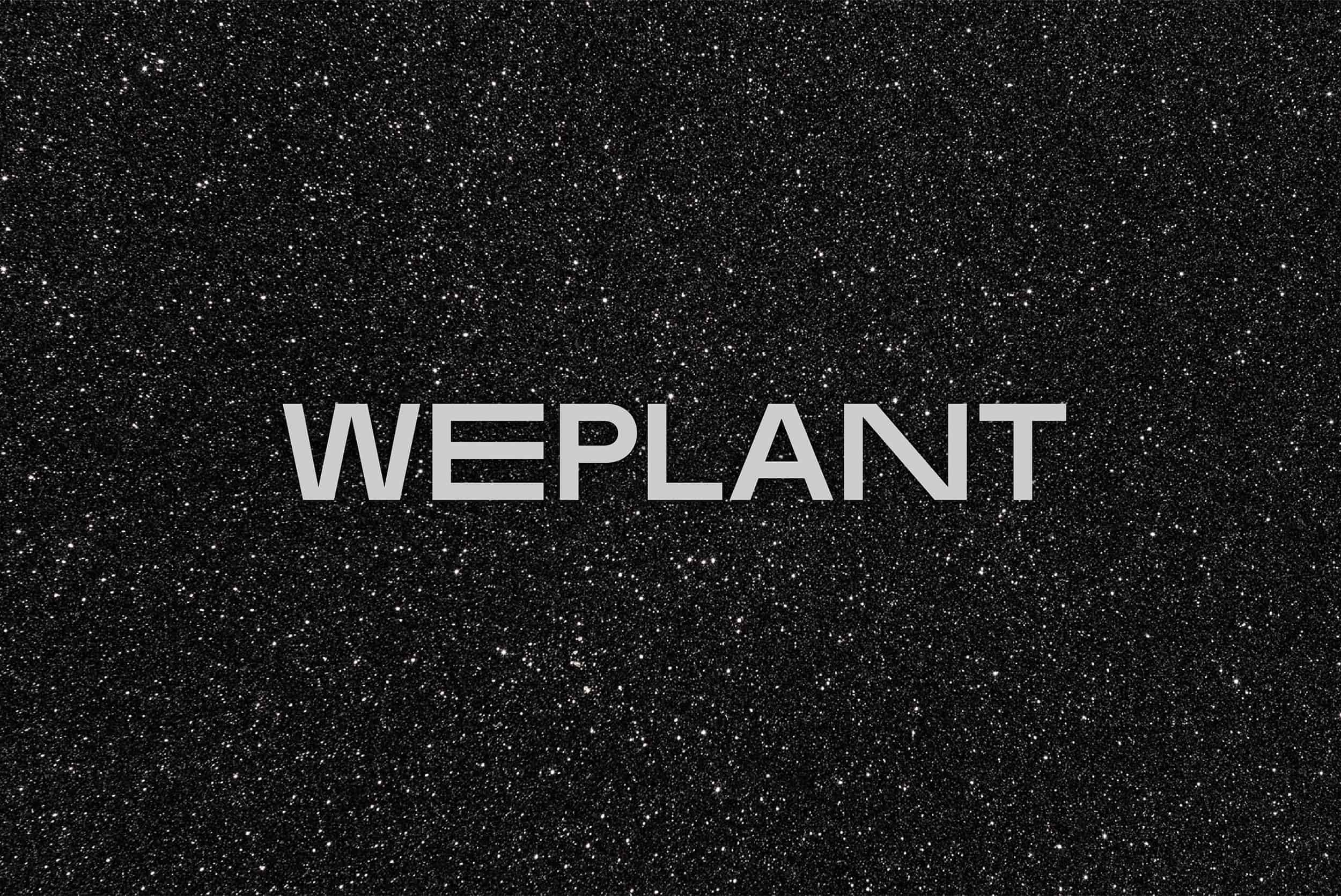 NUAR_Web_Proyecto_WePlant_C_01.jpg