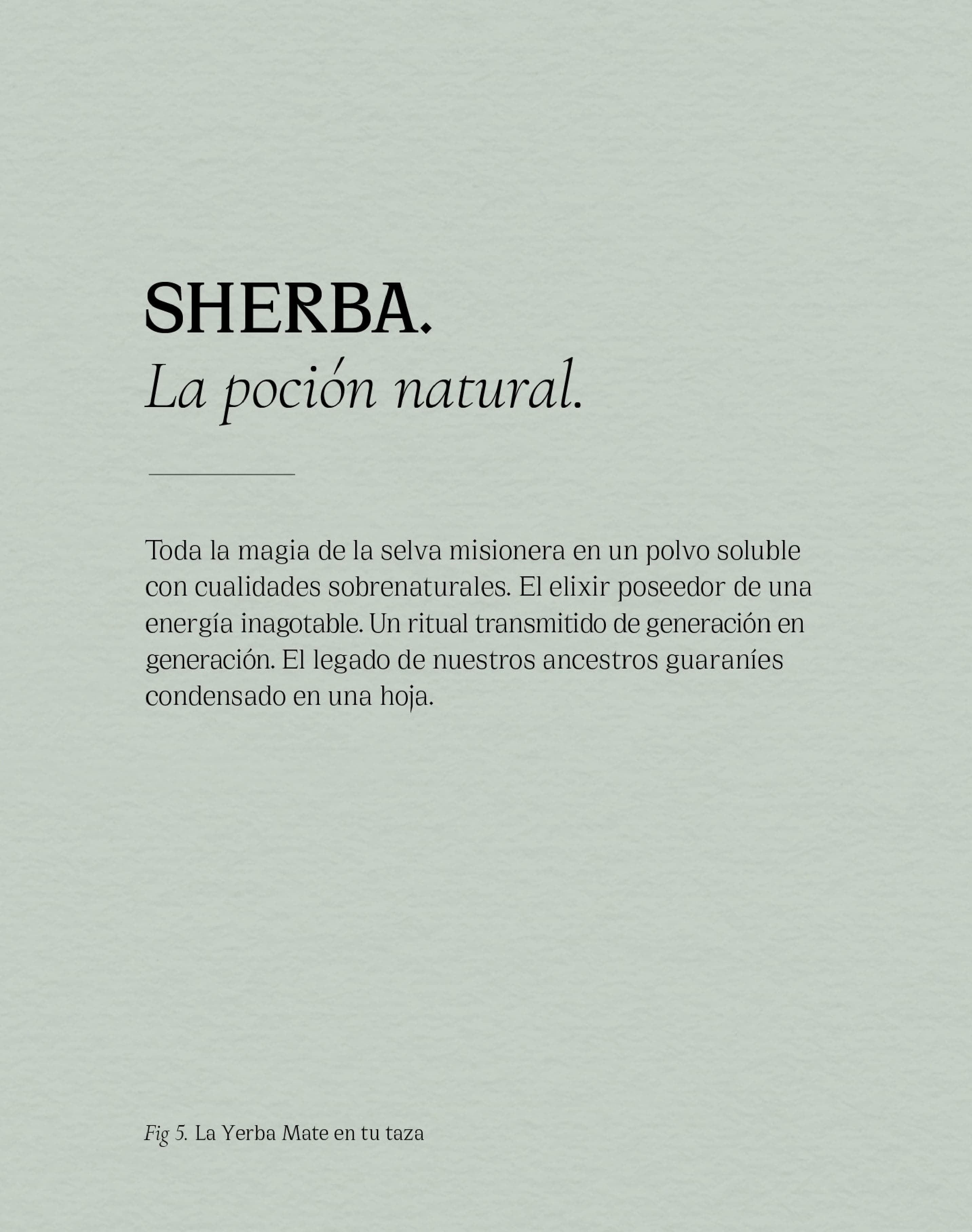 NUAR_Web_Proyecto_Sherba_C_07.jpg
