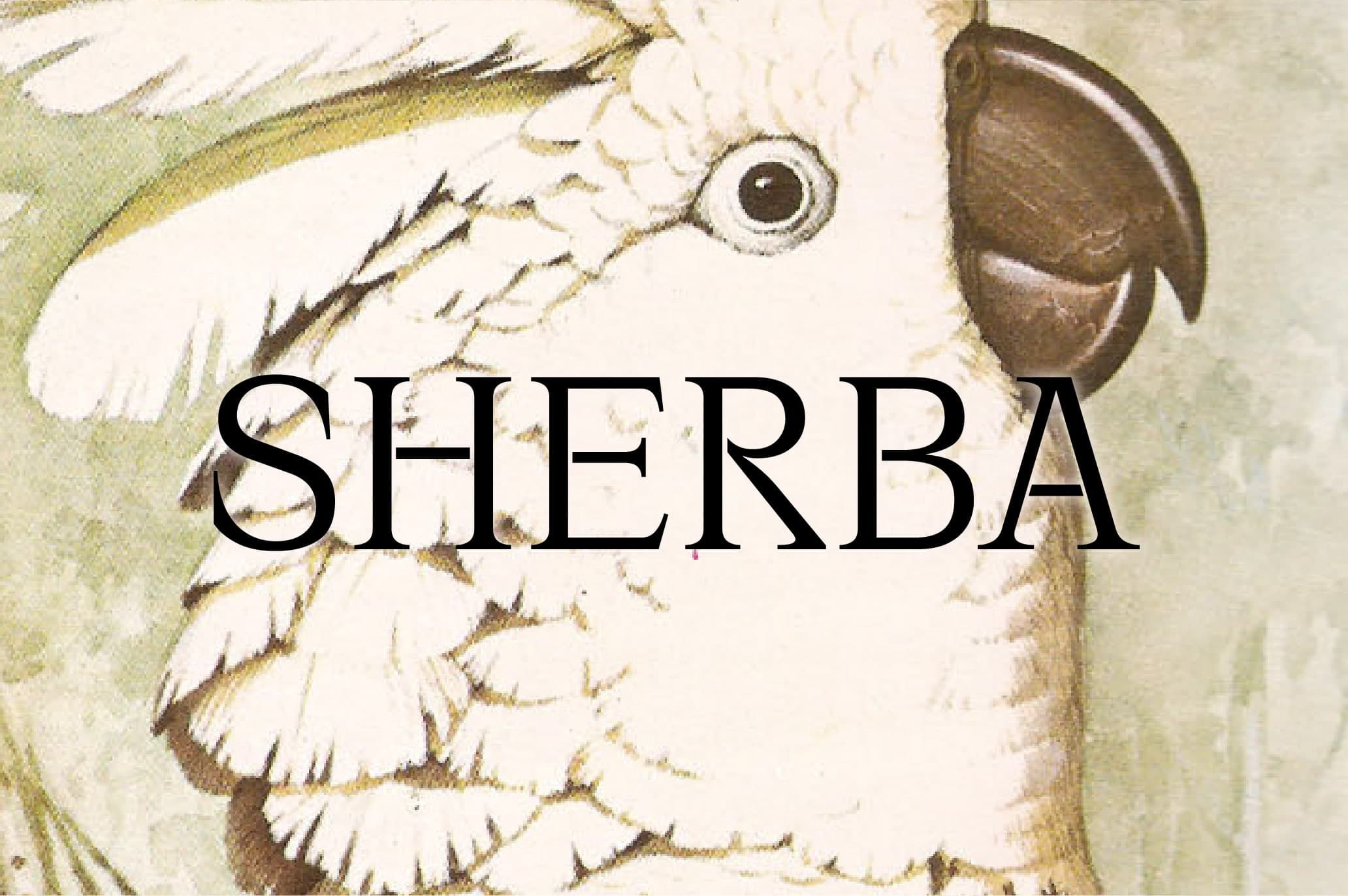 NUAR_Web_Proyecto_Sherba_C_01.jpg
