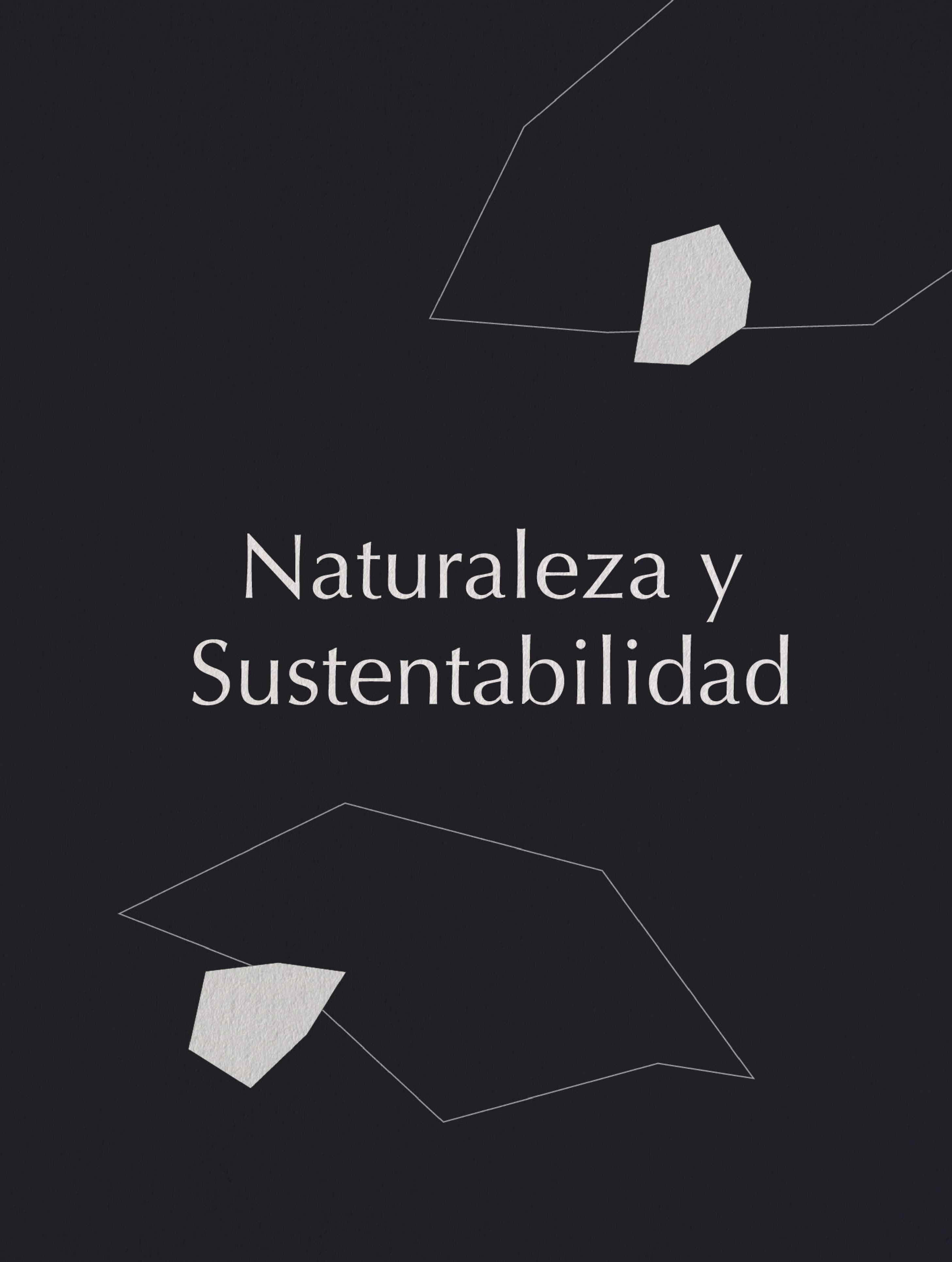 NUAR_Web_Proyecto_ECO_C_16.jpg