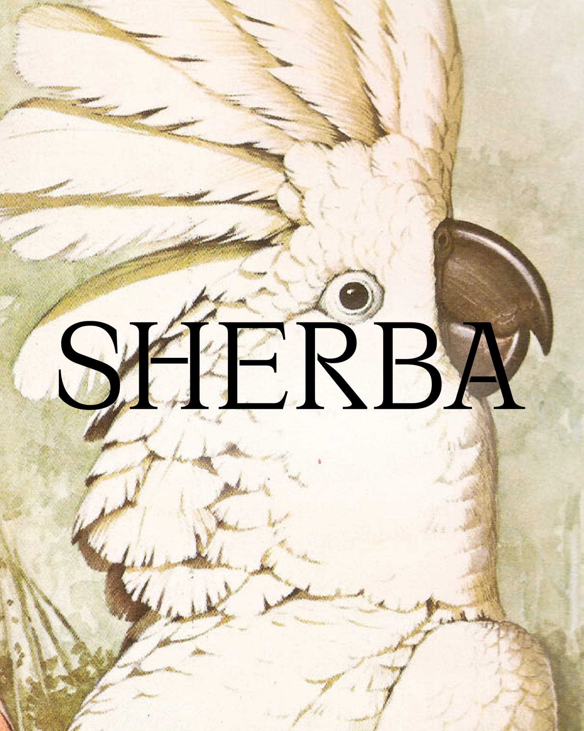 Sherba