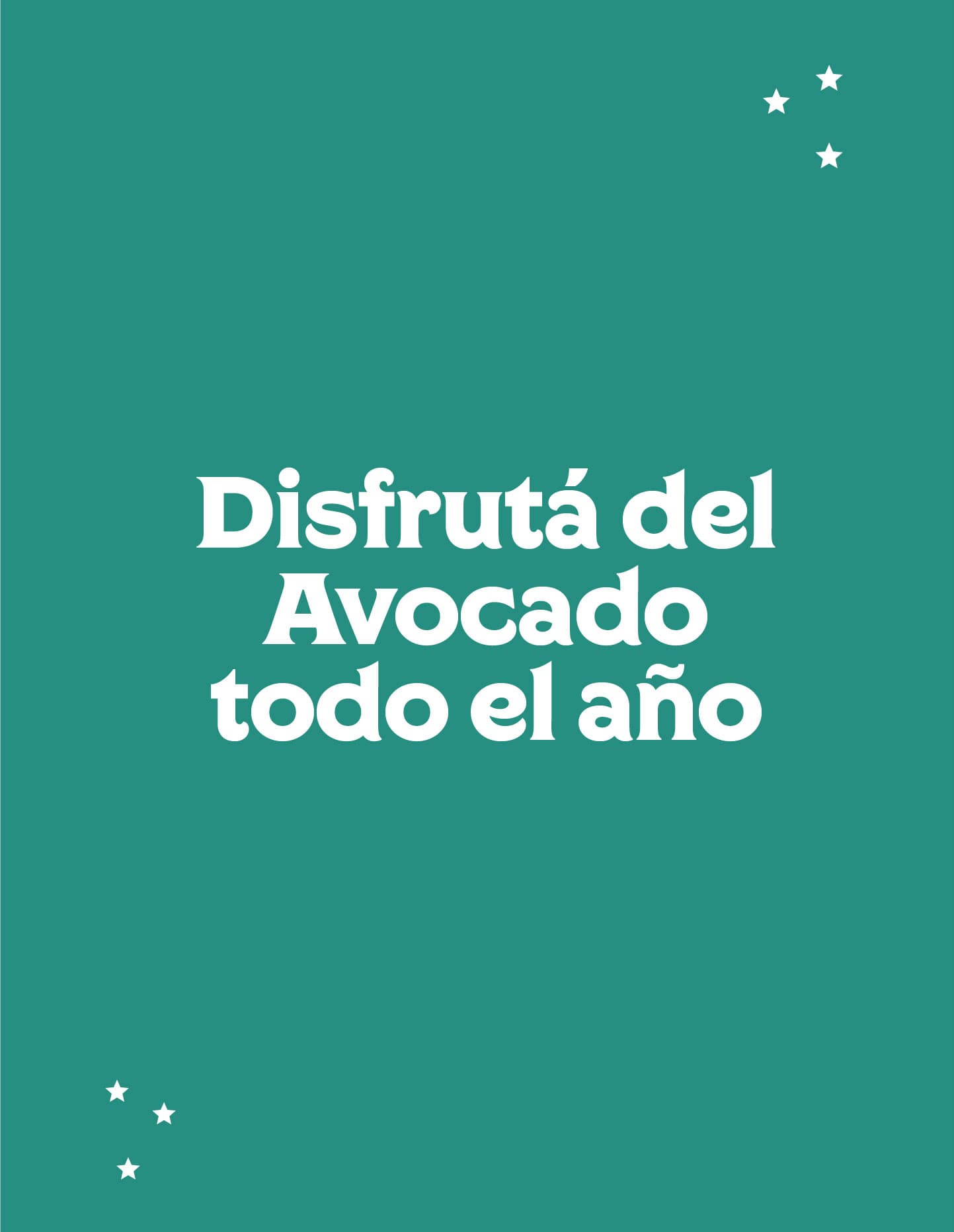 NUAR_Web_Proyecto_AvocadoRepublic_C_13.jpg