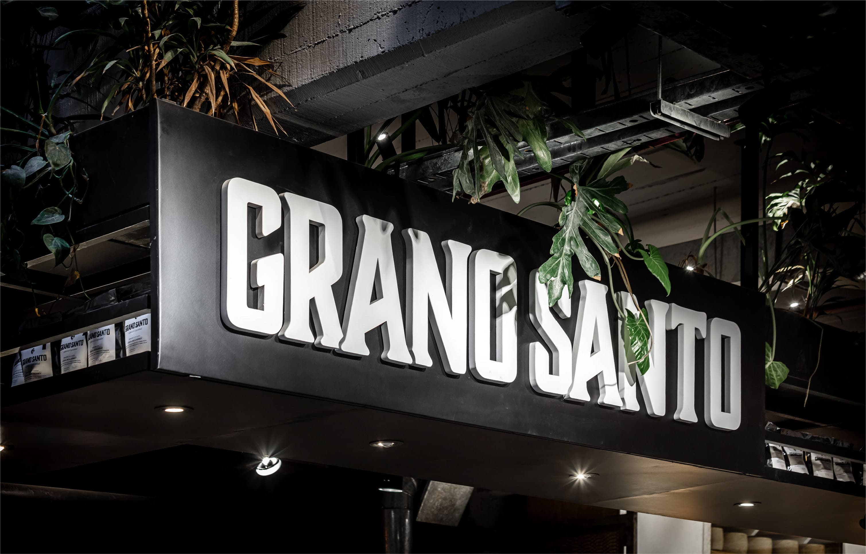 NUAR_Web_Proyecto_GranoSanto_C_04.jpg