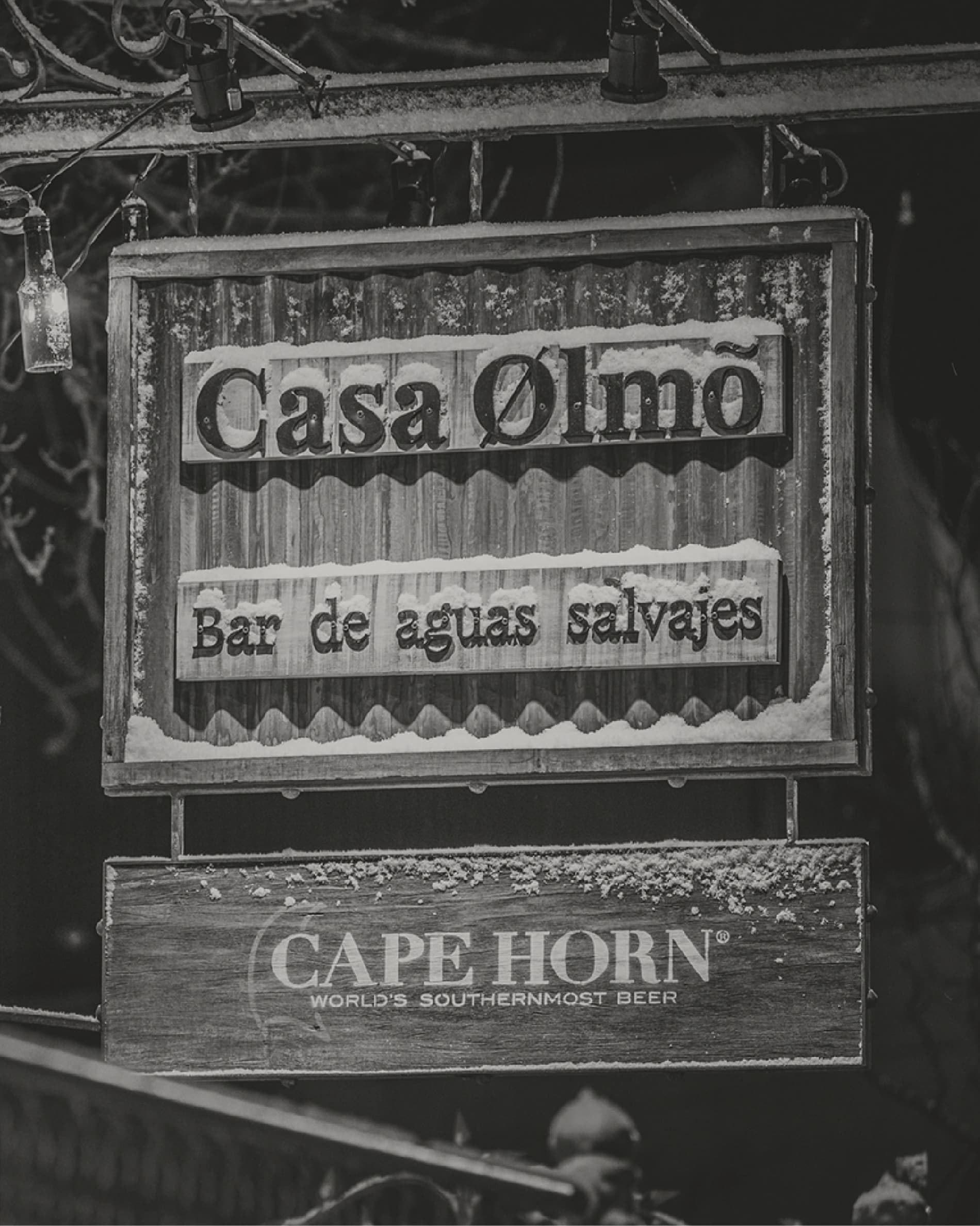 Casa Olmo