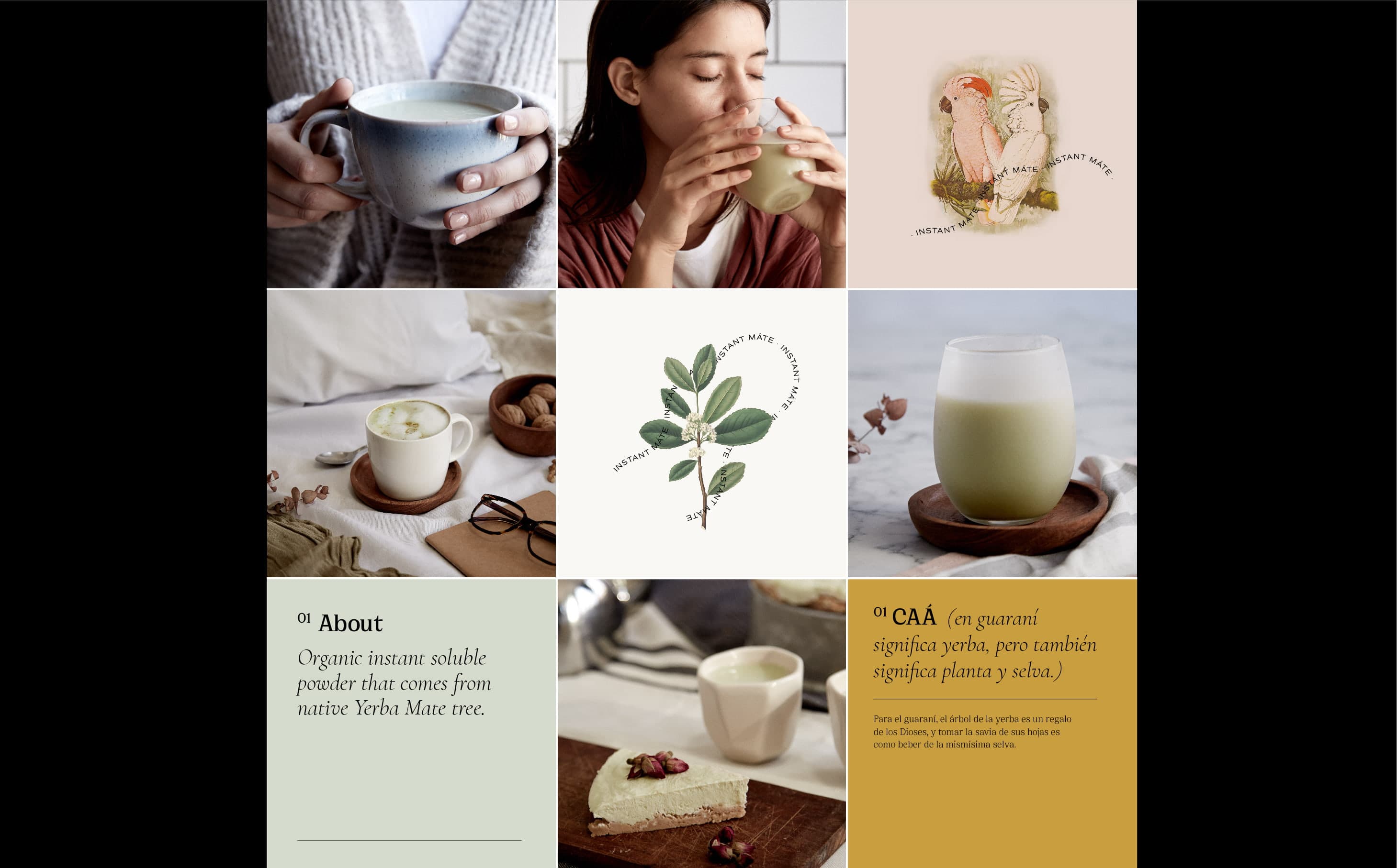 NUAR_Web_Proyecto_Sherba_C_21.jpg